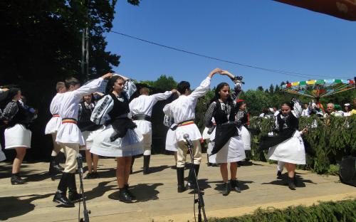 Ansamblul Folcloric Sinca Noua - 2010, Botosani Festivalul Folcloric Vorona | Joc din Sinca Noua